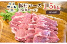 美星満天豚 豚肩ロース（又は豚ロース）1.5kg（小分け真空パック）焼肉用