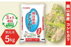 令和7年産【無洗米】岡山県産こしひかり5kg【3ヶ月連続お届け】