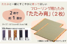 フローリング用たたみ「たたみ育」2枚065-001