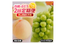 【2回定期便】白桃・ぶどう食べ比べコース（清水白桃・シャインマスカット）岡山県総社市産【2025年産先行予約】25-045-002
