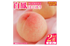 白桃「白鳳（2kg箱）」岡山県総社市産【2025年産先行予約】25-020-003