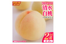 白桃「清水白桃（2kg箱）」岡山県総社市産【2025年産先行予約】25-026-003