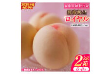 岡山白桃（最高級品ロイヤル・2kg箱）総社市産【2025年産先行予約】25-037-001