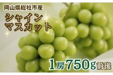ぶどう「シャインマスカット（晴王）」岡山県総社市産【2025年産先行予約】25-019-002