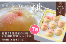 7月の桃（厳選大玉約2kg）岡山県総社もも生産組合【2025年産先行予約】25-050-002