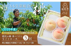 【5回定期便】白桃 食べつくしライトコース　岡山県総社もも生産組合【2025年産先行予約】25-070-001
