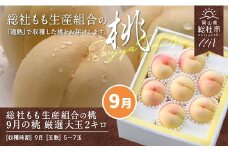 9月の桃（厳選大玉約2kg）岡山県総社もも生産組合【2025年産先行予約】25-050-004