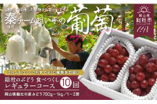 【10回定期便】総社のぶどう食べつくしレギュラーコース総社市秦担い手【2025年産先行予約】25-150-001