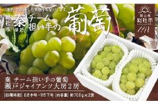 ぶどう「大房瀬戸ジャイアンツ」（2房）総社市秦チーム担い手【2025年産先行予約】25-030-002