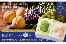 【10回定期便】総社の白桃ぶどう10種コース岡山県総社もも生産組合＆総社市秦チーム担い手【2025年産先行予約】25-150-002