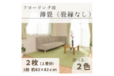 フローリング用　薄たたみ（畳縁なし）２枚【銀白色】 065-002