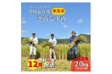 令和6年産＜無洗米＞総社市産きぬむすめ　20kg〔令和6年12月配送〕24-035-022