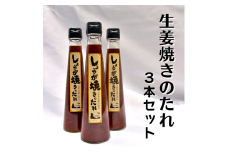 生姜焼きのたれ　３本012-019