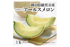 「守安さんのアールスメロン」1玉（大玉）岡山県総社市産【2025年産先行予約】25-012-002