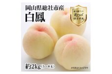白桃「白鳳ロイヤル（約2kg箱）」岡山県総社市産【2025年産先行予約】25-035-001