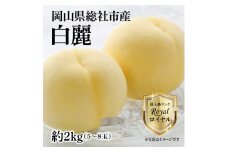 白桃「白麗ロイヤル（約2kg箱）」岡山県総社市産【2025年産先行予約】25-035-002