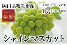 シャインマスカット（赤秀・1房）岡山県総社市産【2025年産先行予約】25-023-001