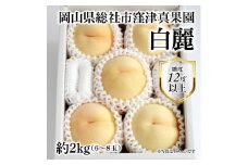 白桃「窪津真果園の白麗（約2kg箱）」岡山県総社市産【2025年産先行予約】25-035-006