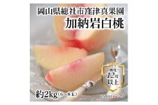 白桃「窪津真果園の加納岩白桃（約2kg箱）」岡山県総社市産【2025年産先行予約】25-035-004
