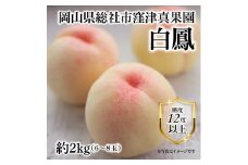 白桃「窪津真果園の白鳳（約2kg箱）」岡山県総社市産【2025年産先行予約】25-035-005
