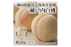 白桃「窪津真果園の瀬戸内白桃（約2kg箱）」岡山県総社市産【2025年産先行予約】25-035-007
