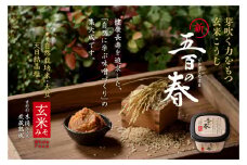 五百の春（玄米味噌）750g【まるみ麹本店】013-001