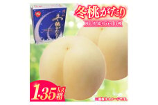 白桃「冬桃がたり（1.35kg箱）」岡山県総社市産【2025年産先行予約】25-037-002