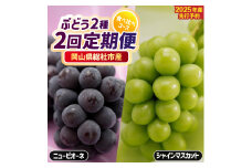 【2回定期便】ぶどう食べ比べコース（ニューピオーネ・シャインマスカット）岡山県総社市産【2025年産先行予約】25-042-001
