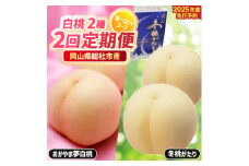 【2回定期便】白桃食べ比べコース（おかやま夢白桃・冬桃がたり）岡山県総社市産【2025年産先行予約】25-063-001