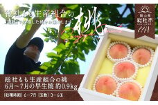 「6月～7月の早生（わせ）桃」約0.9kg　岡山県総社もも生産組合【2025年産先行予約】25-013-001