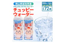 【定期便】そうじゃの水「チュッピーウォーター」（500ml×24本）〔3回配送〕039-008