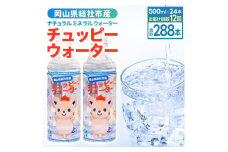 【定期便】そうじゃの水「チュッピーウォーター」（500ml×24本）〔12回配送〕156-007