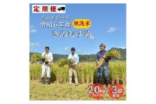 【定期便】令和6年産＜無洗米＞総社市産きぬむすめ　20kg〔3回配送〕24-105-003