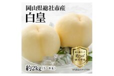 白桃「白皇ロイヤル（約2kg箱）」岡山県総社市産【2025年産先行予約】25-040-002
