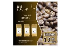 【定期便】総社珈琲3種飲み比べ（名勝豪渓編）豆600g（200g×3袋）【ドリップレシピ付き】〔12回配送〕072-005