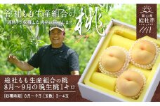 「8～9月晩生（おくて）桃」約1kg岡山県総社もも生産組合【2025年産先行予約】25-013-002