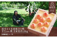 「6～7月早生（わせ）桃」自家用約1.8kg岡山県総社もも生産組合【2025年産先行予約】25-017-013
