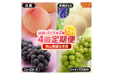 【4回定期便】白桃・ぶどう各2種食べ比べコース（白鳳・冬桃がたり・ニューピオーネ・シャインマスカット）岡山県総社市産【2025年産先行予約】25-099-001