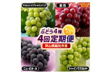 【4回定期便】ぶどう4種食べ比べコース（マスカットオブアレキサンドリア・ニューピオーネ・シャインマスカット・紫苑）岡山県総社市産【2025年産先行予約】25-079-001