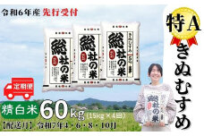 【令和6年産米】特Aきぬむすめ【精白米】60kg 定期便（15kg×4回）岡山県総社市産〔令和7年4月・6月・8月・10月配送〕24-060-007