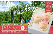 【4回定期便】白桃 食べつくしハーフコース（8月～9月の桃）岡山県総社もも生産組合【2025年産先行予約】25-056-002