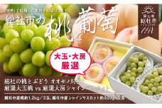 【2回定期便】 総社の桃とぶどう　オオモノ対決！厳選大玉桃 vs 厳選大房シャインマスカット　岡山県総社市産【2025年産先行予約】25-060-001