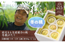 白桃「冬桃がたり」岡山県総社もも生産組合【2025年産先行予約】25-030-001