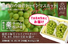 【3回定期便】総社の毎月シャインマスカット！7月、8月、9月の3回お届け　総社市秦チーム担い手【2025年産先行予約】25-100-001