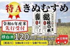 【令和6年産】特Aきぬむすめ【精白米】120kg 定期便（10kg×12回）岡山県総社市産米〔令和6年11月から令和7年10月まで毎月配送〕24-132-002