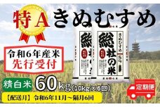 【令和6年産】特Aきぬむすめ【精白米】60kg 定期便（10kg×6回）岡山県総社市産米〔令和6年11月・令和7年1月・3月・5月・7月・9月配送〕24-066-003