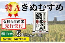 【令和6年産】特Aきぬむすめ【精白米】5kg 岡山県総社市産米〔令和7年9月配送〕24-007-023