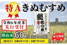 【令和6年産】特Aきぬむすめ【精白米】60kg 定期便（5kg×12回）岡山県総社市産米〔令和6年11月から令和7年10月まで毎月配送〕24-084-002