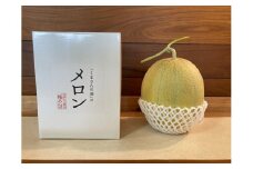 極み減農薬ゆうかメロン１玉（岡山県総社市産）020-021