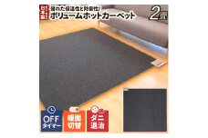 （ワタナベ工業）ボリュームホットカーペット２畳相当(WHC-205VC)050-008